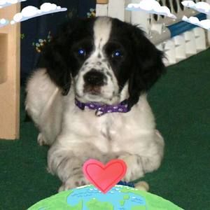 Meet your Posher, Elaine